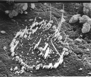 Carbamazepine crystalhenge